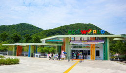 [2023 경상북도 마을이야기] 문경 오미자 정보화마을...손꼽히는 산간오지, 주민 힘으로 오미자특구 이루다