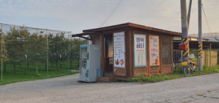 [2023 경상북도 마을이야기] 경산 금구맛대추 정보화마을, 정보화로 고소득 이룬 대추 주산지…젊은이가 돌아오다