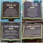 [2023 경상북도 마을이야기] 칠곡 학수고대 마을...사람이 돌아오길 학수고대 人文을 꽃피우다