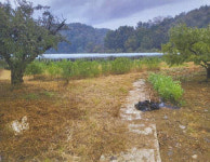 대구·경북 공매 관심 물건