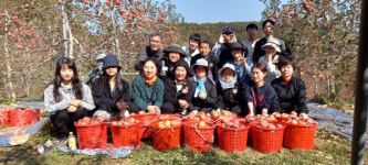 의성보건소·신평면 직원, 과수농가 일손 지원