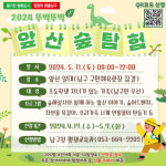 대구 남구, 뚜벅뚜벅 앞산 숲 탐험 참가자 모집