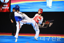 성주 명인중학교 태권도부 모든 체급에서 뛰어난 성과