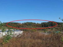 [공매 관심 물건] 성주군 선남면 소학리 임야