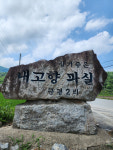 [2024 경상북도 마을이야기]김천 구성면 금평마을, 대대손손 나라 위해 목숨 바쳐 싸운 애국의 고장