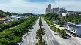 영주시 서원로, 명품 가로수길 등극
