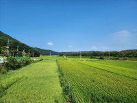 [문경 영순면 금포마을] 학문 숭상하고 독립운동 헌신한 선비의 고장