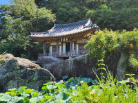 [문경 영순면 금포마을] 학문 숭상하고 독립운동 헌신한 선비의 고장