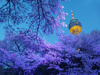 [2024 청소년 휴대전화 사진촬영대회] 동심의 눈으로 바라본 내 고장, 애정 듬뿍 셔터 세례