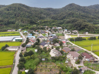 [2024 경상북도 마을이야기]상주 낙동면 신상1리,  주민 손으로 가꾼 해바라기 사람 모이는 명품마을 꽃피우다