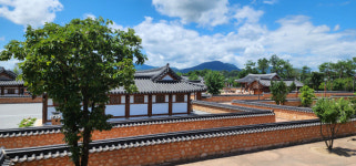 [2024 경상북도 마을이야기]상주 낙동면 신상1리,  주민 손으로 가꾼 해바라기 사람 모이는 명품마을 꽃피우다