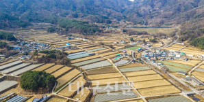 [2024 경상북도 마을이야기] 고령 신리 녹색농촌체험마을, 친환경 농산물·사계절 체험…자부심이 된 청정자연