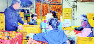 상주시 외서면, 곶감 농가 찾아 애로사항 청취