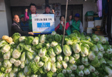 성주군 수륜면 이정훈·여영순, 배추 400포기 기증