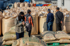 대구 달성군, 이달 말까지 시장격리곡 등 1천38t 매입