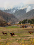 [의성 산불] 집이 탄다 울먹이며…차마 발걸음 못 떼고 망연자실