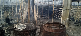 12년 운영 3300평 버섯농장 잿더미 망연자실