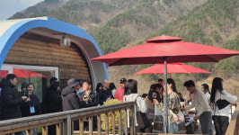 김천 수도산와이너리 양조장, 문화예술 행사
