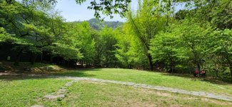 [자연이 살아야 우리가 산다] 생명의 숲, 나무 한 그루·숲 한 자락이 우리의 삶을 바꾼다