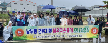 영천 남부동 분회노인회, 이웃돕기 모내기 행사 개최