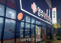 영주 의약품 공백 해소 공공심야약국 운영