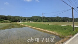 울진 기성지구 혁신농업타운 선정