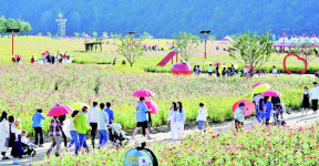 최고 힐링 명소 산소카페 청송정원 개장