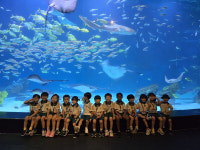 고령 다산초병설유치원, 대구 아쿠아리움 현장체험