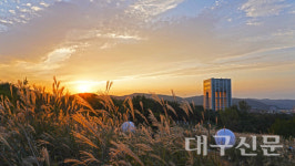 경주엑스포대공원, 무장애 관광 실현…수어영상·점자책자 첫 선