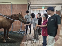 대덕승마장, 실버 힐링승마 강습 운영