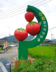 [2025 경상북도 문화 마을이야기-고령 안림딸기마을] 숲 속 교정서 특별한 하룻밤…딸기의 고장이 캠핑 명소로