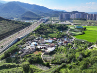 [2026 경상북도 문화마을이야기] 경주 건천읍 체리마을- 90년 뿌리내린 체리의 고향…천년고도 붉게 물들인다