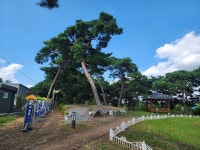 [2026 경상북도 문화마을이야기-칠곡 기산면 죽전2리] 함안댁·안산댁…정겨운 호칭 속 유대감 키우는귀촌 1번지