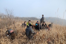 [오지산행기] 남도에서 봄을 보았다 (보성, 순천 - 초암산, 존제산, 오봉산, 제석산)