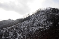 [오지산행기] 고고종단-17차 : 삼척, 정선의 산을 가다 ! 매봉산, 뾰죽봉