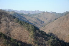 [오지산행기] 산 넘고 물 건너 (울진, 통고산)