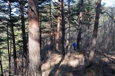 [오지산행기] 산 넘고 물 건너 (울진, 통고산)