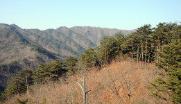[오지산행기] 산 넘고 물 건너 (울진, 통고산)