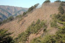 [오지산행기] 산 넘고 물 건너 (울진, 통고산)