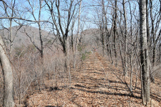 [오지산행기] 산 넘고 물 건너 (울진, 통고산)