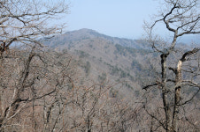 [오지산행기] 산 넘고 물 건너 (울진, 통고산)