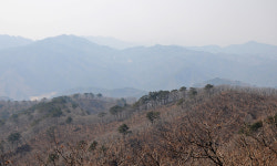 [오지산행기] 산 넘고 물 건너 (울진, 통고산)
