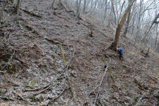 [오지산행기] 산 넘고 물 건너 (울진, 통고산)