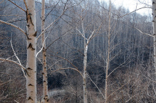 [오지산행기] 산 넘고 물 건너 (울진, 통고산)