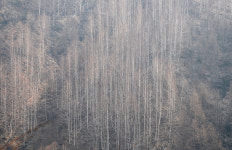 [오지산행기] 산 넘고 물 건너 (울진, 통고산)