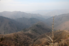 [오지산행기] 석화산을 둘러보며 (홍천, 방내리→915m, 1004m, 밤밭이 고개, 1064m→상뱃재)