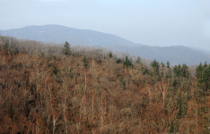 [오지산행기] 태백고원 (상장동→된봉, 1193.9m, 1379.2m, 1127.1m, 구문소동, 1061.4m→문곡동)