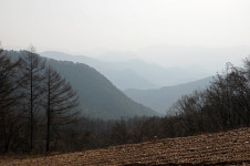 [오지산행기] 태백고원 (상장동→된봉, 1193.9m, 1379.2m, 1127.1m, 구문소동, 1061.4m→문곡동)