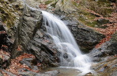 [오지산행기] 안개 속 춘유 - 치악산