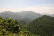 [오지산행기] 산의 봄날은 간다 (평창, 강릉 - 발왕2교→백적산, 발왕산, 조고봉→대림교)